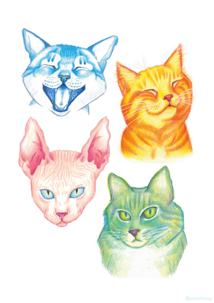 poster chat_paulinart